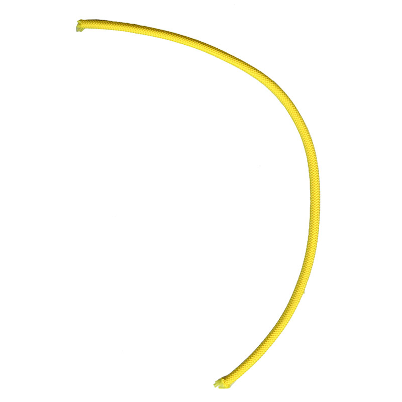 Elastsed köis